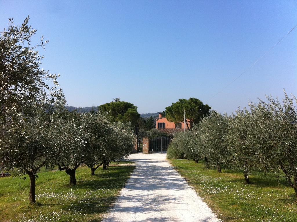 Gospodarstwo agroturystyczne Paradisoincollina Ss